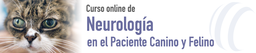 Neurología en el Paciente Canino y Felino