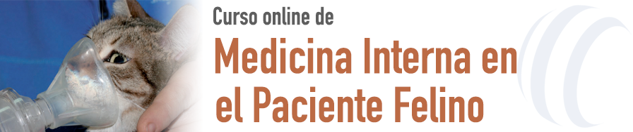 Medicina Interna en el Paciente Felino