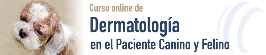 Dermatología en el Paciente Canino y Felino