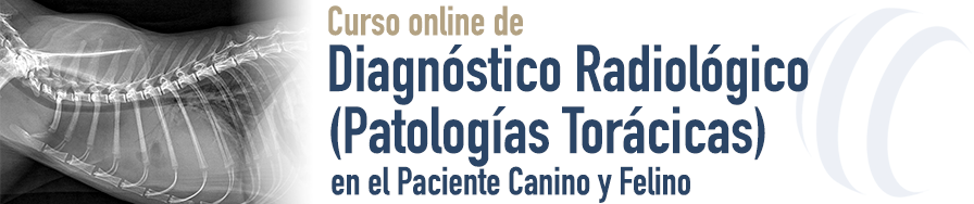 Diagnóstico Radiológico (Patologías Torácicas)