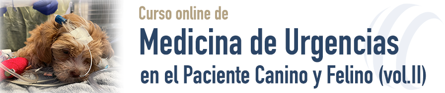 Medicina de Urgencias. Volumen II