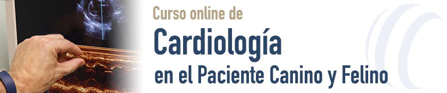 Cardiología en el Paciente Canino y Felino